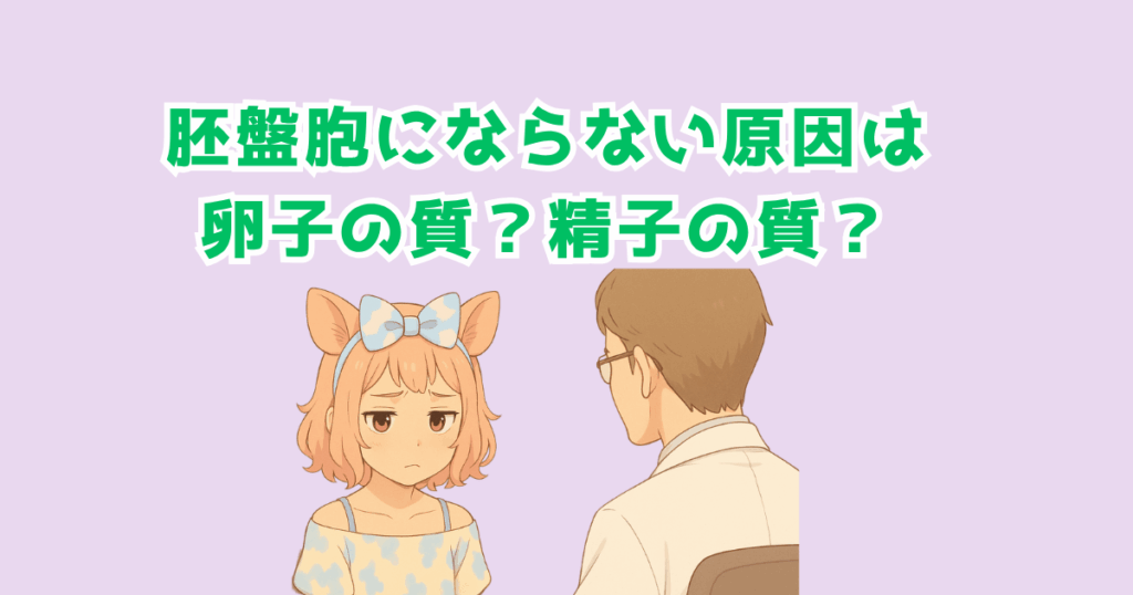 先生の話を聞く